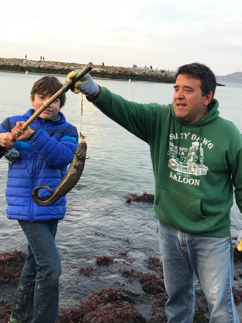 Monkey Face Eel Fishing - San Francisco Bay Fishing Info